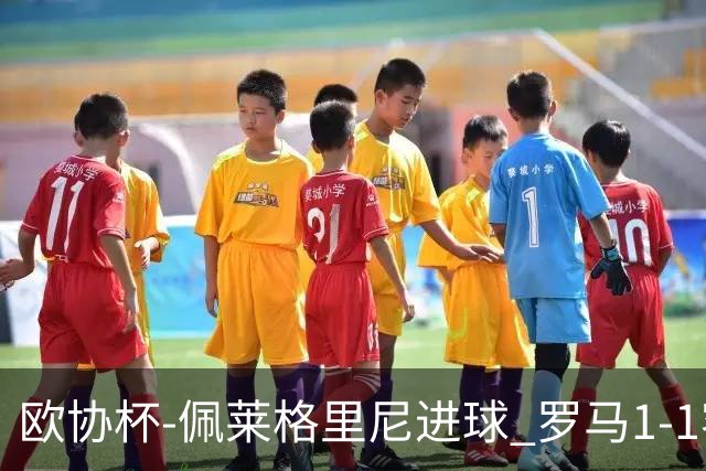欧协杯-佩莱格里尼进球 罗马1-1客平莱斯特城